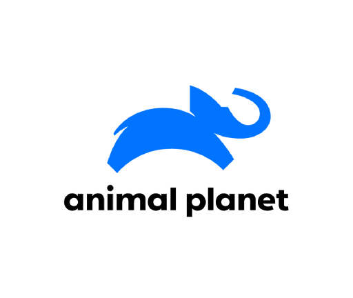 logos portal telecom (65)