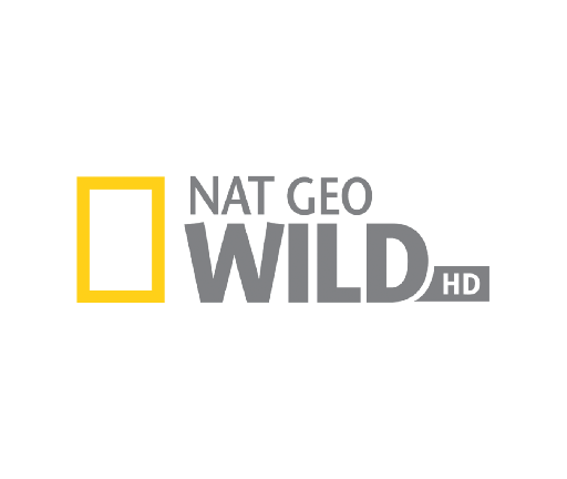 logos portal telecom (74)