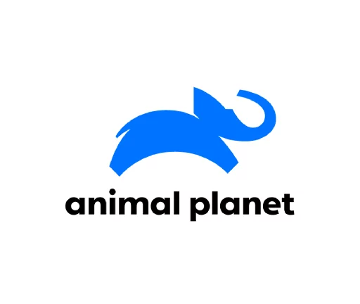 logos portal telecom (65)
